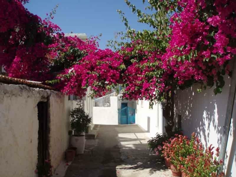 Tourloti Village House Tourlotí Exterior foto